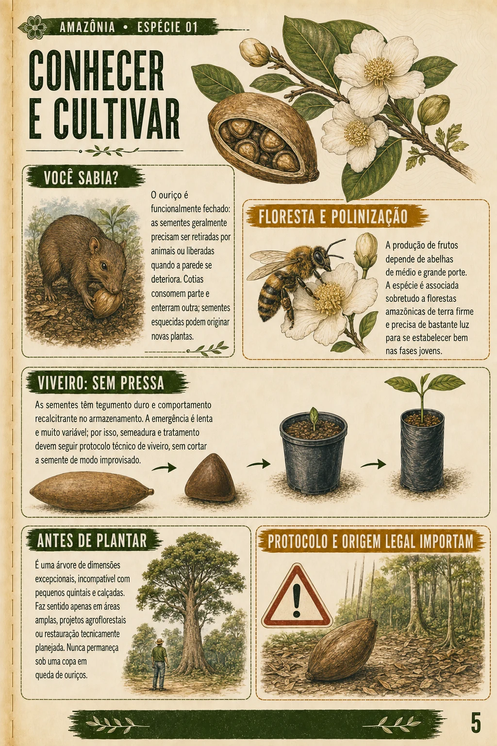 Página de cultivo da enciclopédia 1