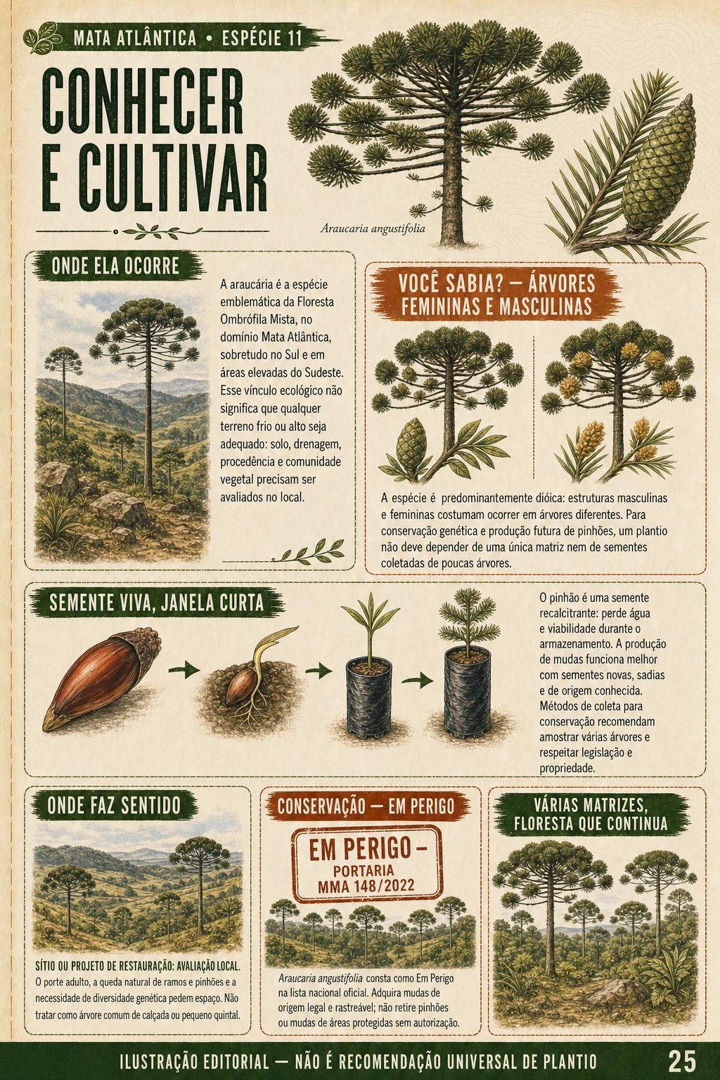 Página de cultivo da enciclopédia 2