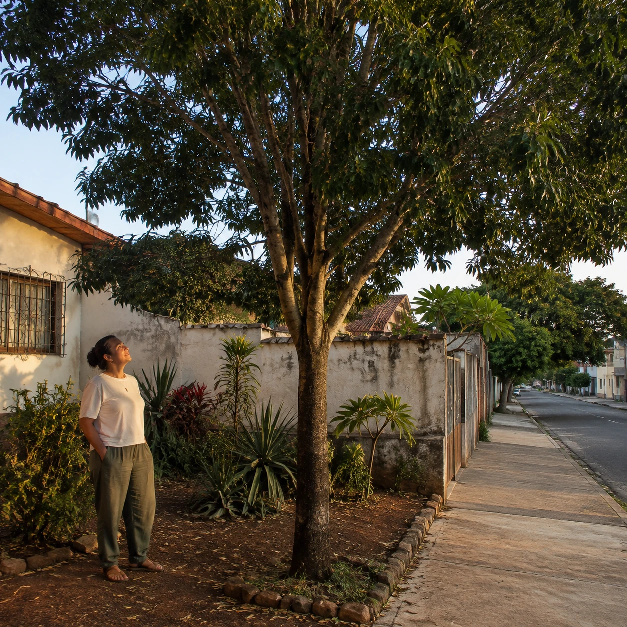 Árvore nativa bem escolhida e integrada de forma harmoniosa a um ambiente brasileiro